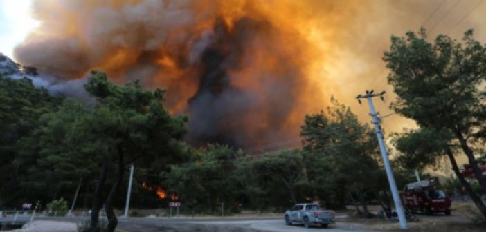 izmir odemis teki yanginda son durum nedir bakan pakdemirli acikladi
