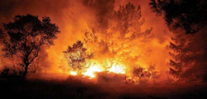 Kıbrıs Rum kesimindeki yangın kontrol altına alınamıyor