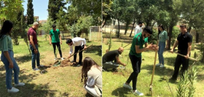 Suzan ve Büşra öğretmen için fidan diktiler