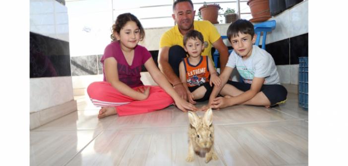 Yangına müdahale ederken kurtardığı yavru tavşanı sahiplendi