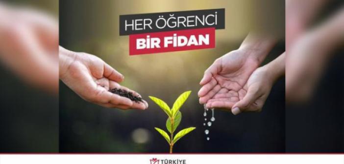 YTB'den yangınlarda etkilenen bölgelere 5 bin fidan bağışı