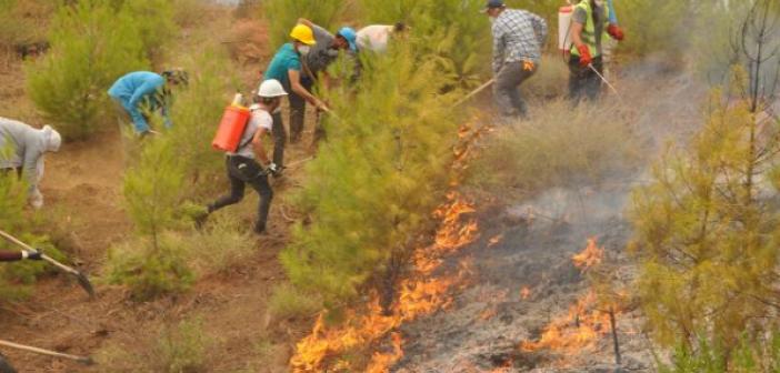 AFAD: Yangın bölgelerine sadece akredite kuruluşlar girebilecek | 2021 Orman Yangınları