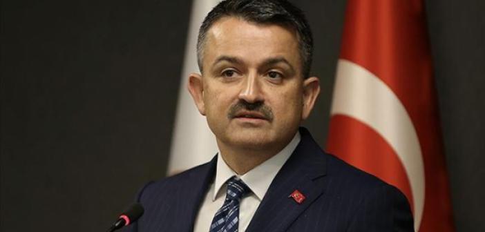 Bakan Pakdemirli: Sütçüler'de zarar gören 15 hanemiz var