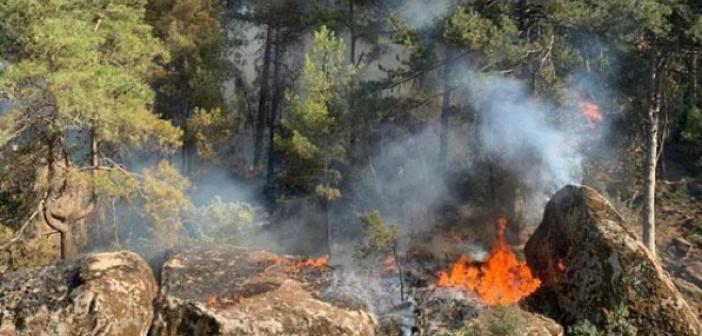 Tekrardan Başladı! Aydın'da ve Muğla'da orman yangınları: Müdahale sürüyor