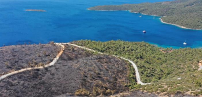 FOTO GALERİ | Bodrum ve Milas'ta yanan ormanlık alanlar havadan görüntülendi | 2021 Orman Yangınları