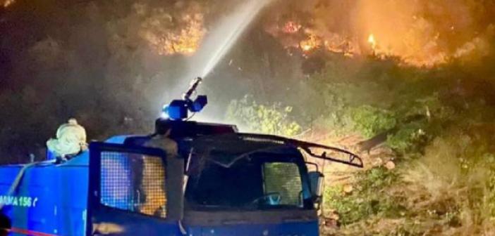 Jandarma Genel Komutanlığından Flaş Açıklama! 2 bin 310 jandarma personeli orman yangınlarıyla mücadele ediyor | 2021 Orman Yangınları