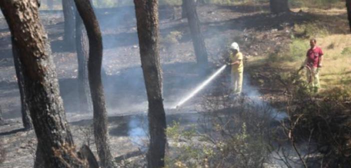 Manisa'da orman yangını söndürüldü