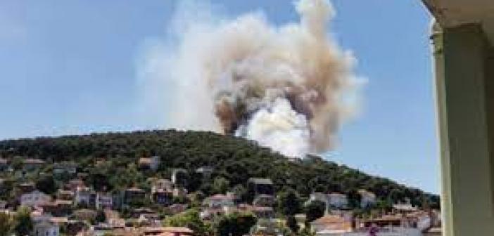 Son dakika: İstanbulda yangın! Heybeliada'da Orman yangını çıktı! Valilikten ilk açıklama geldi