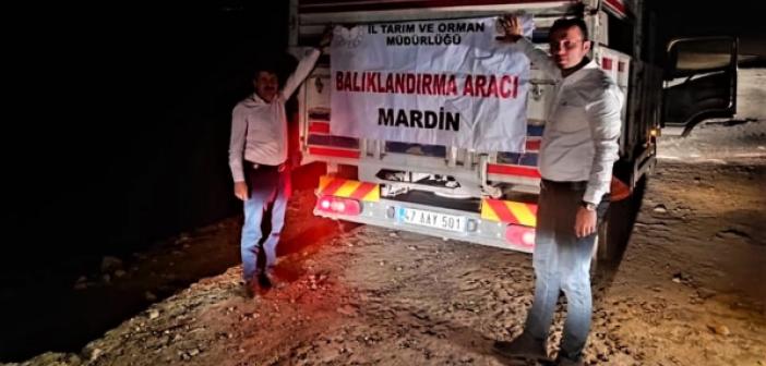 Mardin'de Göletler Balıklandırılıyor