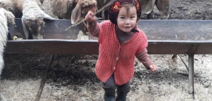Müslüme'nin katili bulundu mu, katil dedesi mi babası mı? Yörük kızı Müslüme'nin otopsi raporu çıktı mı?