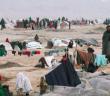 Afganistan Hükümeti'nden Afgan mültecilere eve dönüş çağrısı