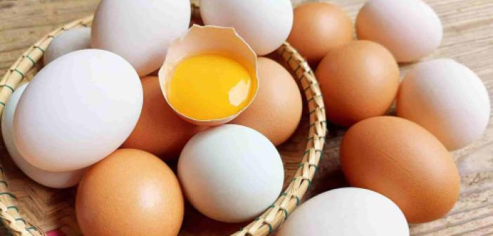 BİM, A101, ŞOK, MİGROS, CarrefourSA'da yumurta fiyatları ne kadar? İşte 18 Ağustos 2022 Perşembe günü 6'lı, 10'lu 15'li ve 30'lu yumurta fiyatları