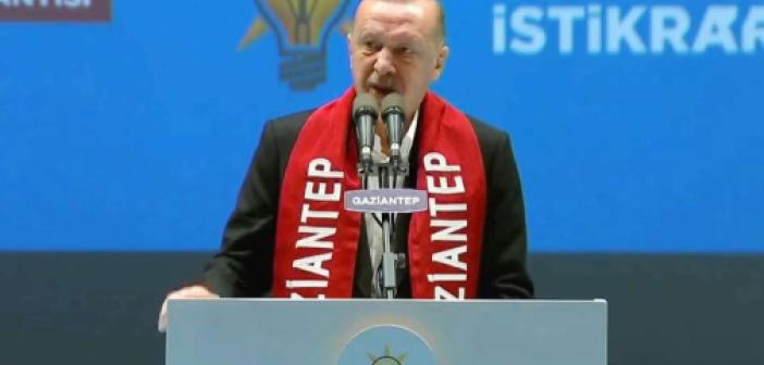 Cumhurbaşkanı Erdoğan'dan pitbull dehşetine ilişkin açıklama: Bedelini ödeyeceksiniz!