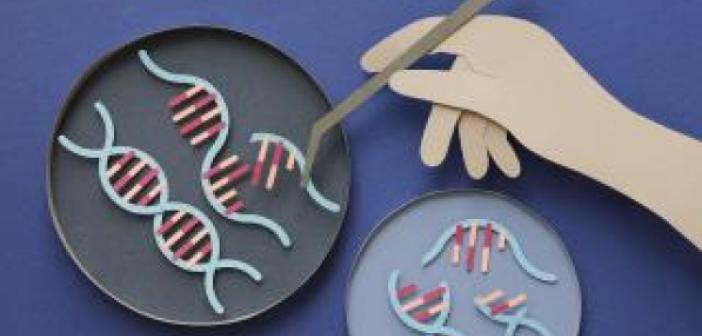 DNA onarımının yolunu açan teknoloji: CRISPR ile gen düzenleme kolaylaşıyor