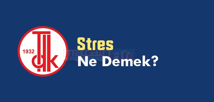 Stres ne demek? Stres TDK sözlük anlamı nedir?