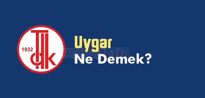 Uygar ne demek? Uygar TDK sözlük anlamı nedir?