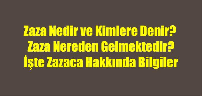 Zaza Nedir ve Kime Denir? Zaza Nereden Gelmedir? Zazaca Hakkında Bilgi