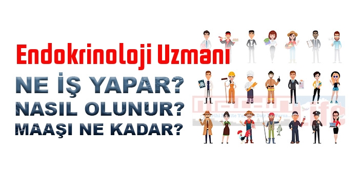 Endokrinoloji Uzmanı olma şartları, 2023 maaşları ne kadar, nasıl olunur? Endokrinoloji Uzmanı nedir, ne iş yapar?