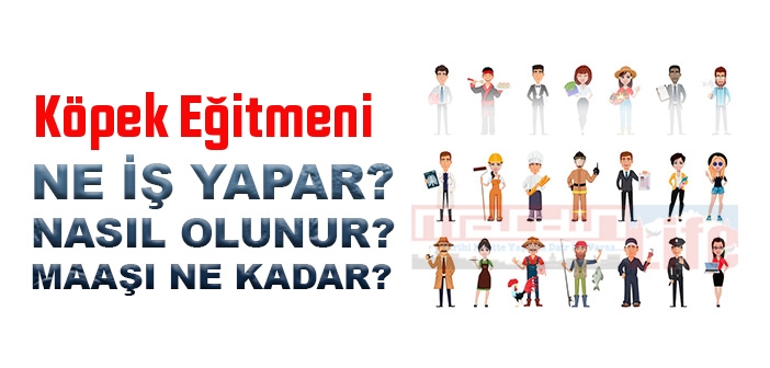 Köpek Eğitmeni nedir, ne iş yapar? Köpek Eğitmeni olma şartları, 2022 maaşları ne kadar, nasıl olunur?