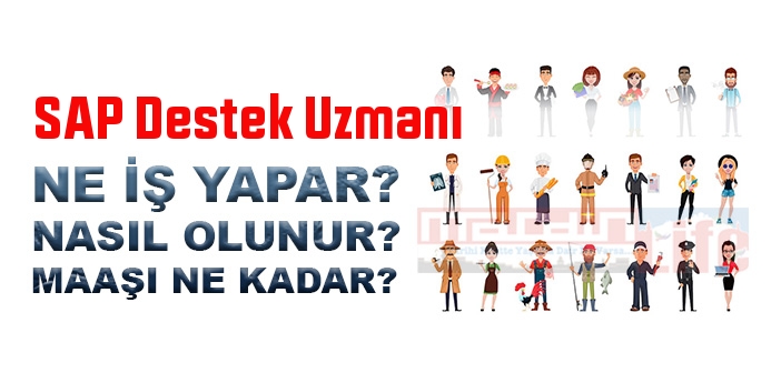 SAP Destek Uzmanı olma şartları, 2023 maaşları ne kadar, nasıl olunur? SAP Destek Uzmanı nedir, ne iş yapar?