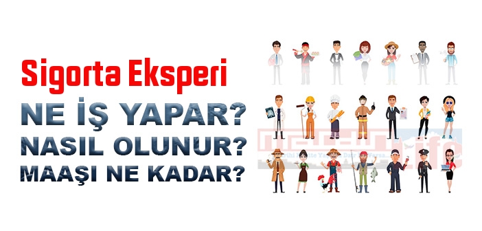 Sigorta Eksperi nedir, ne iş yapar? Sigorta Eksperi olma şartları, 2022 maaşları ne kadar, nasıl olunur?