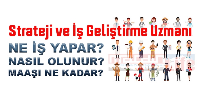 Strateji ve İş Geliştirme Uzmanı nedir, ne iş yapar? Strateji ve İş Geliştirme Uzmanı olma şartları, 2022 maaşları ne kadar, nasıl olunur?