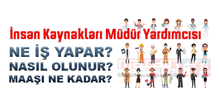 İnsan Kaynakları Müdür Yardımcısı nedir, ne iş yapar? İnsan Kaynakları Müdür Yardımcısı olma şartları, 2022 maaşları ne kadar, nasıl olunur?
