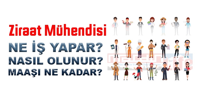Ziraat Mühendisi nedir, ne iş yapar? Ziraat Mühendisi olma şartları, 2022 maaşları ne kadar, nasıl olunur?