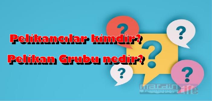Pelikan grubu nedir, kimlerden oluşuyor? Pelikancılar ne demek, dosyası nedir?