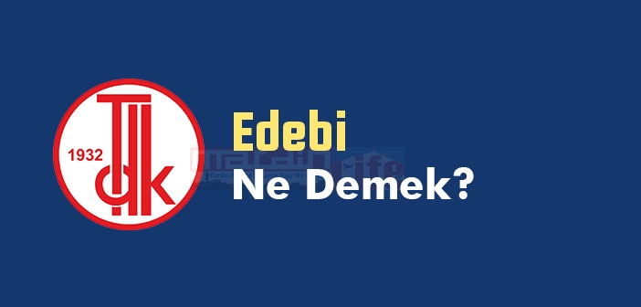 Edebi ne demek? Edebi TDK sözlük anlamı nedir?