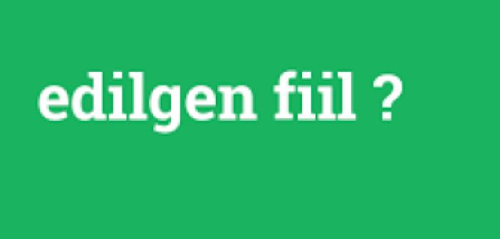 Edilgen Fiil Nedir? Edilgen Fiiller örnek cümleler