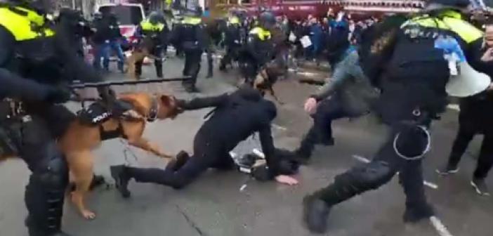 Hollanda'da 'kısıtlama' protestosu polis şiddetine neden oldu