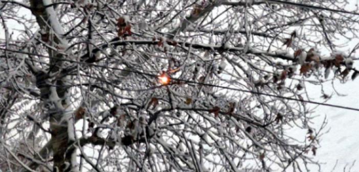 Kar ağırlığına dayanamayan ağaç dalları elektrik tellerinin üzerine düştü