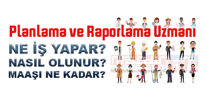 Planlama ve Raporlama Uzmanı nedir, ne iş yapar? Planlama ve Raporlama Uzmanı olma şartları, 2022 maaşları ne kadar, nasıl olunur?