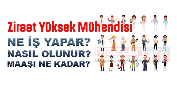 Ziraat Yüksek Mühendisi nedir, ne iş yapar? Ziraat Yüksek Mühendisi olma şartları, 2022 maaşları ne kadar, nasıl olunur?