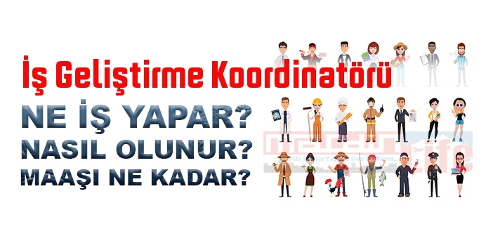 İş Geliştirme Koordinatörü nedir, ne iş yapar? İş Geliştirme Koordinatörü olma şartları, 2022 maaşları ne kadar, nasıl olunur?