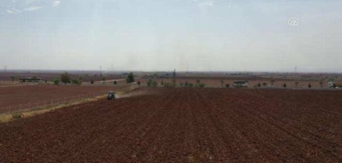 Mardin'de önceki yıla göre kurak bir kış geçiriyor