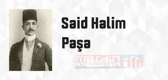 Buhranlarımız ve Son Eserleri - Said Halim Paşa Kitap özeti, konusu ve incelemesi