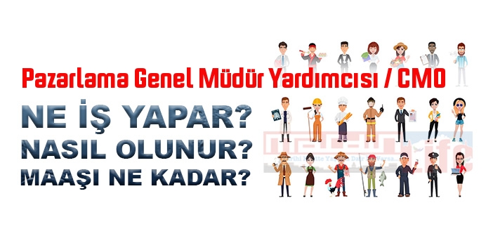 Pazarlama Genel Müdür Yardımcısı / CMO nedir, ne iş yapar? Pazarlama Genel Müdür Yardımcısı / CMO olma şartları, 2022 maaşları ne kadar, nasıl olunur?