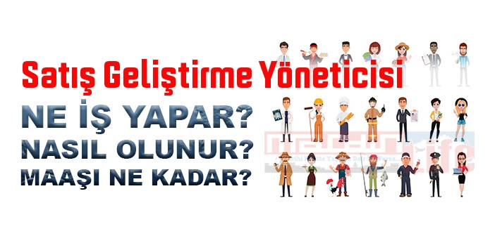 Satış Geliştirme Yöneticisi nedir, ne iş yapar? Satış Geliştirme Yöneticisi olma şartları, 2022 maaşları ne kadar, nasıl olunur?