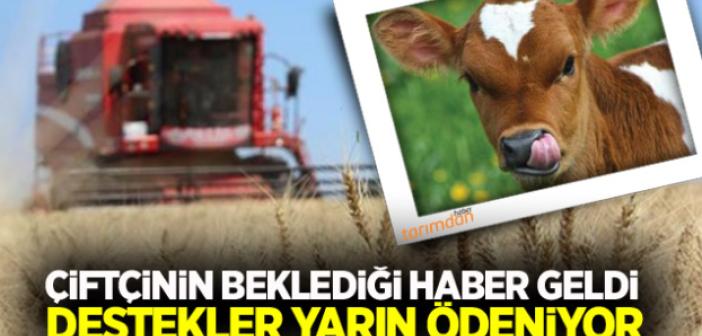Mazot ve gübre destekleri yarın ödeniyor