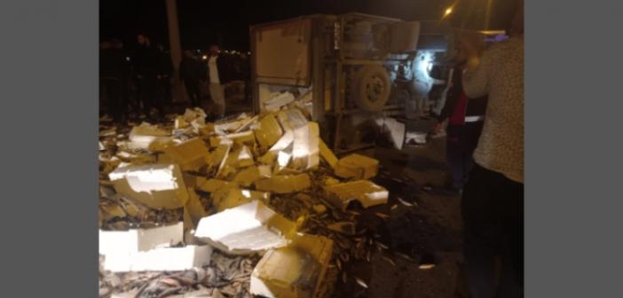 Nusaybin İpek yolunda balık yüklü kamyon kaza yaptı: 2 yaralı