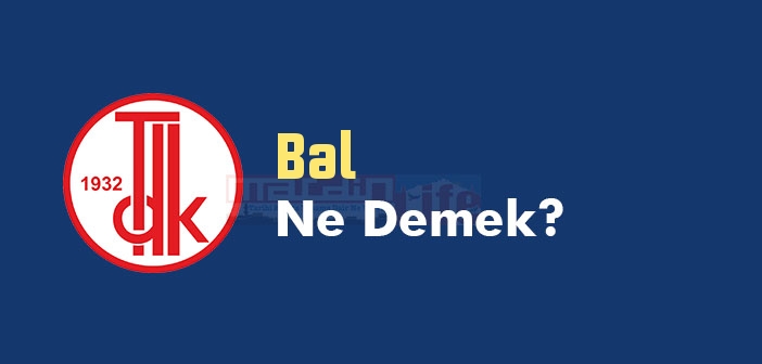 Bal ne demek? Bal TDK sözlük anlamı nedir?