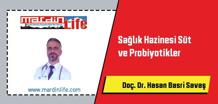 Sağlık Hazinesi Süt ve Probiyotikler