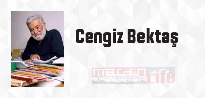 Türk Evi - Cengiz Bektaş Kitap özeti, konusu ve incelemesi