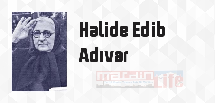 Seviyye Talip - Halide Edib Adıvar Kitap özeti, konusu ve incelemesi