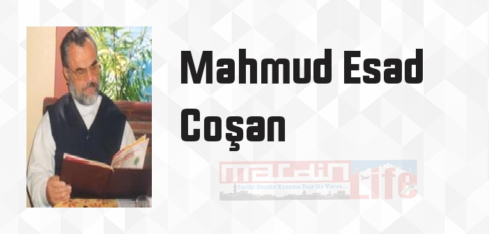 21. Yüzyılda Kulluk Sanatı - Mahmud Esad Coşan Kitap özeti, konusu ve incelemesi
