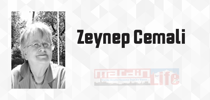 Öykü Öykü Gezen Kedi - Zeynep Cemali Kitap özeti, konusu ve incelemesi