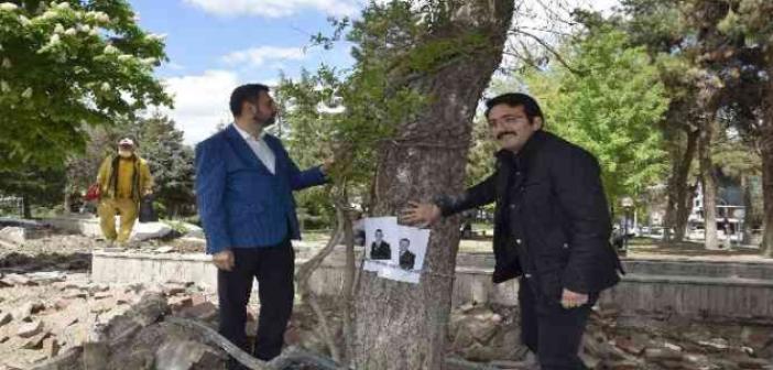 Burdur Belediyesinin kestiği yarım asırlık çam ağaçları için zincirli eylem