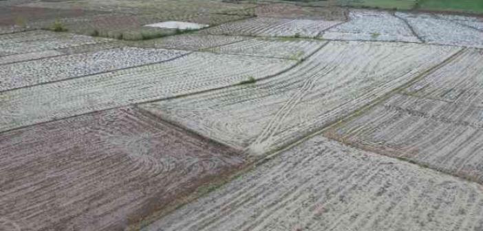 Islah edilmeyen çay taştı, tarım arazileri sular altında kaldı